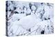 Willow Ptarmigan, Churchill Wildlife Area, Churchill, Manitoba, Canada-Richard ans Susan Day-Premier Image Canvas