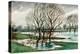 Willows, about 1927 (Watercolour and Chalk)-Christopher Richard Wynne Nevinson-Premier Image Canvas