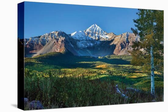 Wilson Peak Aspens II-Larry Malvin-Premier Image Canvas