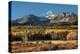 Wilson Peak Yellow Aspens-Larry Malvin-Premier Image Canvas