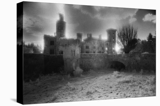 Wilton Castle, County Wexford, Ireland-Simon Marsden-Premier Image Canvas
