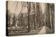 Winchester Cathedral and Avenue, Hampshire, early 20th century(?)-Unknown-Premier Image Canvas