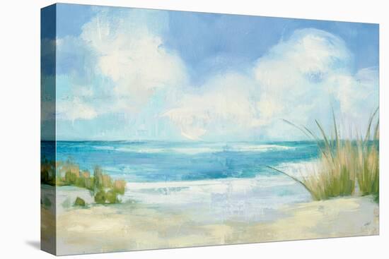 Wind and Waves I-Julia Purinton-Stretched Canvas