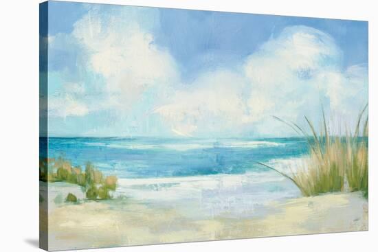 Wind and Waves I-Julia Purinton-Stretched Canvas