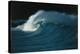 Wind-blown Wave Breaking In Hawaii-Brad Lewis-Premier Image Canvas