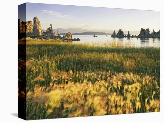 Wind Blows Squirrel-Tail Barley Next to Mono Lake with Tufas, California, USA-Dennis Flaherty-Premier Image Canvas