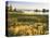 Wind Blows Squirrel-Tail Barley Next to Mono Lake with Tufas, California, USA-Dennis Flaherty-Premier Image Canvas