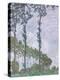 Wind Effect, Series of the Poplars, 1891-Claude Monet-Premier Image Canvas