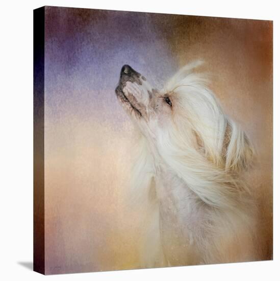 Wind in Her Hair Chinese Crested-Jai Johnson-Premier Image Canvas