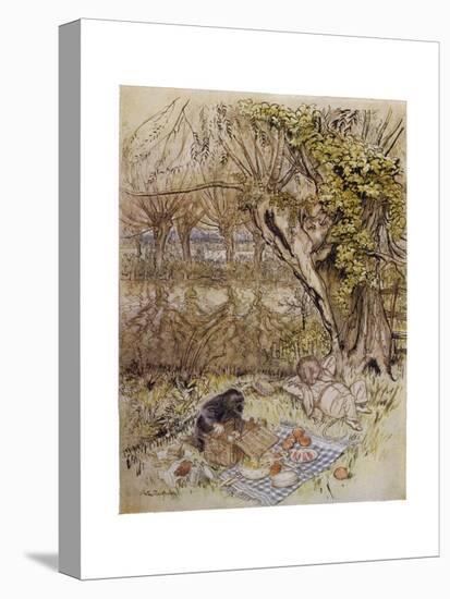 Wind in Willows, Grahame-Arthur Rackham-Premier Image Canvas