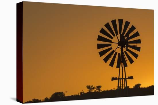 Wind pump, South Africa, Africa-Ann and Steve Toon-Premier Image Canvas