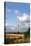 Wind Turbine-Victor Habbick-Premier Image Canvas