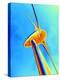 Wind Turbine-PASIEKA-Premier Image Canvas