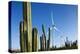 Wind Turbines and Cactus at Aruba-null-Premier Image Canvas