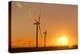 Wind turbines at sunset, Whitelee Wind Farm, East Renfrewshire, Scotland, United Kingdom, Europe-John Guidi-Premier Image Canvas