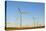 Wind Turbines, Whitelee Wind Farm, East Renfrewshire, Scotland, United Kingdom, Europe-John Guidi-Premier Image Canvas