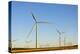 Wind Turbines, Whitelee Wind Farm, East Renfrewshire, Scotland, United Kingdom, Europe-John Guidi-Premier Image Canvas