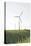 Wind Turbines, Wind Power Station, Renewable Energy, Wind Park, Parish Kronprinzenkoog-Axel Schmies-Premier Image Canvas