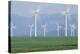 Wind Turbines-Alan Sirulnikoff-Premier Image Canvas