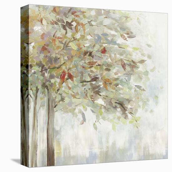 Windblown-Allison Pearce-Stretched Canvas