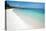 Winding Bay Beach I-Larry Malvin-Premier Image Canvas