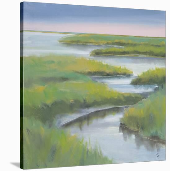 Winding Everglade-Don Almquist-Stretched Canvas