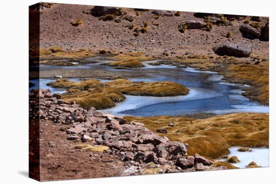 Winding Partially Frozen Water Near the Saciel Sulfur Refinery, Chile-Mallorie Ostrowitz-Premier Image Canvas