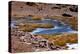 Winding Partially Frozen Water Near the Saciel Sulfur Refinery, Chile-Mallorie Ostrowitz-Premier Image Canvas