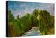 Winding River, 2009-Patricia Brintle-Premier Image Canvas