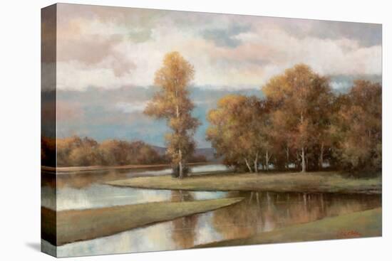 Winding River II-T.C. Chiu-Stretched Canvas