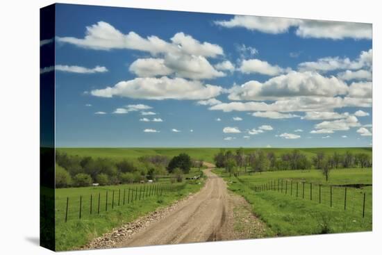 Winding road in Kansas Flint Hills-Michael Scheufler-Premier Image Canvas