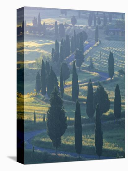 Winding Road, Monticchiello, Tuscany, Italy-Doug Pearson-Premier Image Canvas