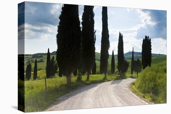 Winding Road, Near Pienza, Tuscany, Italy-Peter Adams-Premier Image Canvas