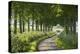 Winding Tree Lined Country Lane, Dorset, England. Summer (July)-Adam Burton-Premier Image Canvas