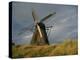 Windmill at Open Air Museum, Skagen, North Jutland, Denmark, Scandinavia, Europe-Ken Gillham-Premier Image Canvas