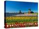 Windmill in Holland-lucasantilli-Premier Image Canvas