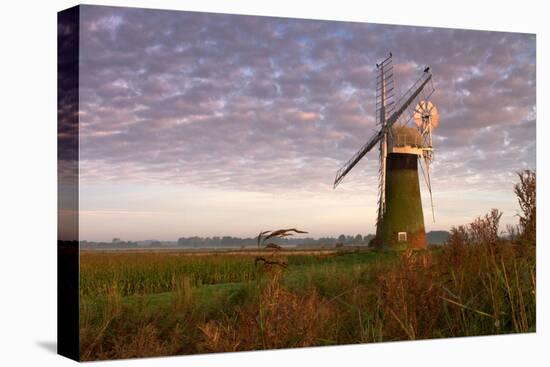 Windmill on the Norfolk Broads at Sunrise-Vince Burton-Premier Image Canvas