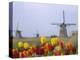 Windmills and Tulips Along the Canal in Kinderdijk, Netherlands-Keren Su-Premier Image Canvas