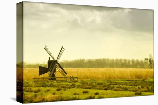 Windmills in a Field in the Netherlands, One Old and One New-Sheila Haddad-Premier Image Canvas