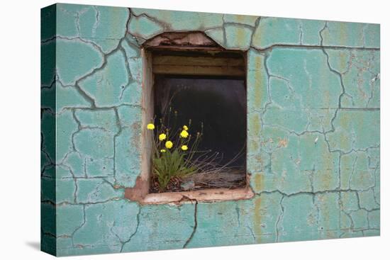 Window 3-Wayne Bradbury-Premier Image Canvas