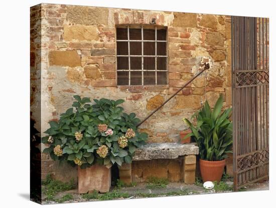 Window and Ancient Stone Wall, Pienza, Tuscany, Italy-Adam Jones-Premier Image Canvas