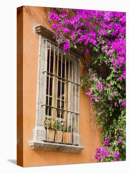 Window and Flower Pots, San Miguel De Allende, Guanajuato State, Mexico-Julie Eggers-Premier Image Canvas