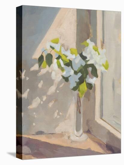 Window Bouquet I-Jacob Green-Stretched Canvas