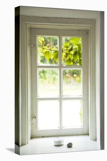 Window, Vine Leaves, Transom Window, Plants-Nora Frei-Premier Image Canvas