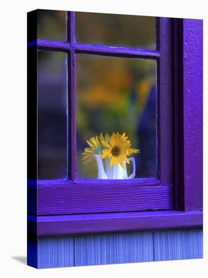 Window with Sunflowers in Vase-Steve Terrill-Premier Image Canvas