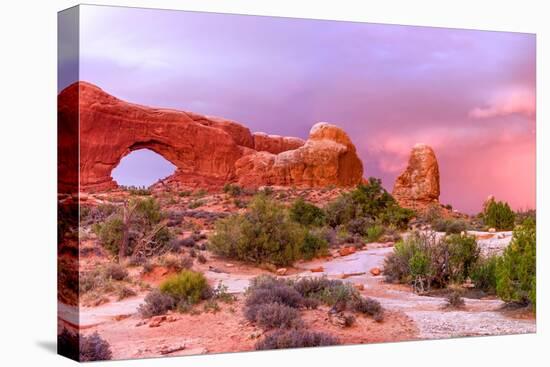 Windows. Arches National Park. Utah, USA.-Tom Norring-Premier Image Canvas