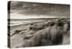 Windswept Sand Dunes on the Beach at Studland Bay, with Views Towards Old Harry Rocks, Dorset-Adam Burton-Premier Image Canvas