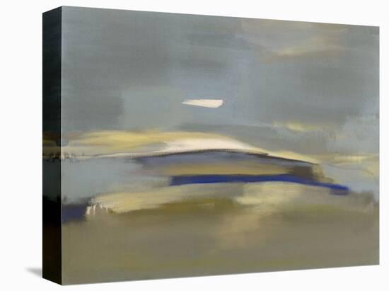 Windswept-Nancy Ortenstone-Stretched Canvas