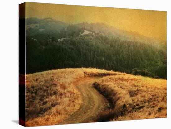 Windy Trail on Hill-Robert Cattan-Premier Image Canvas