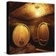 Wine Barrels of the Valdhuber Wine Estate, Svecina, Slovenia-Armin Faber-Premier Image Canvas